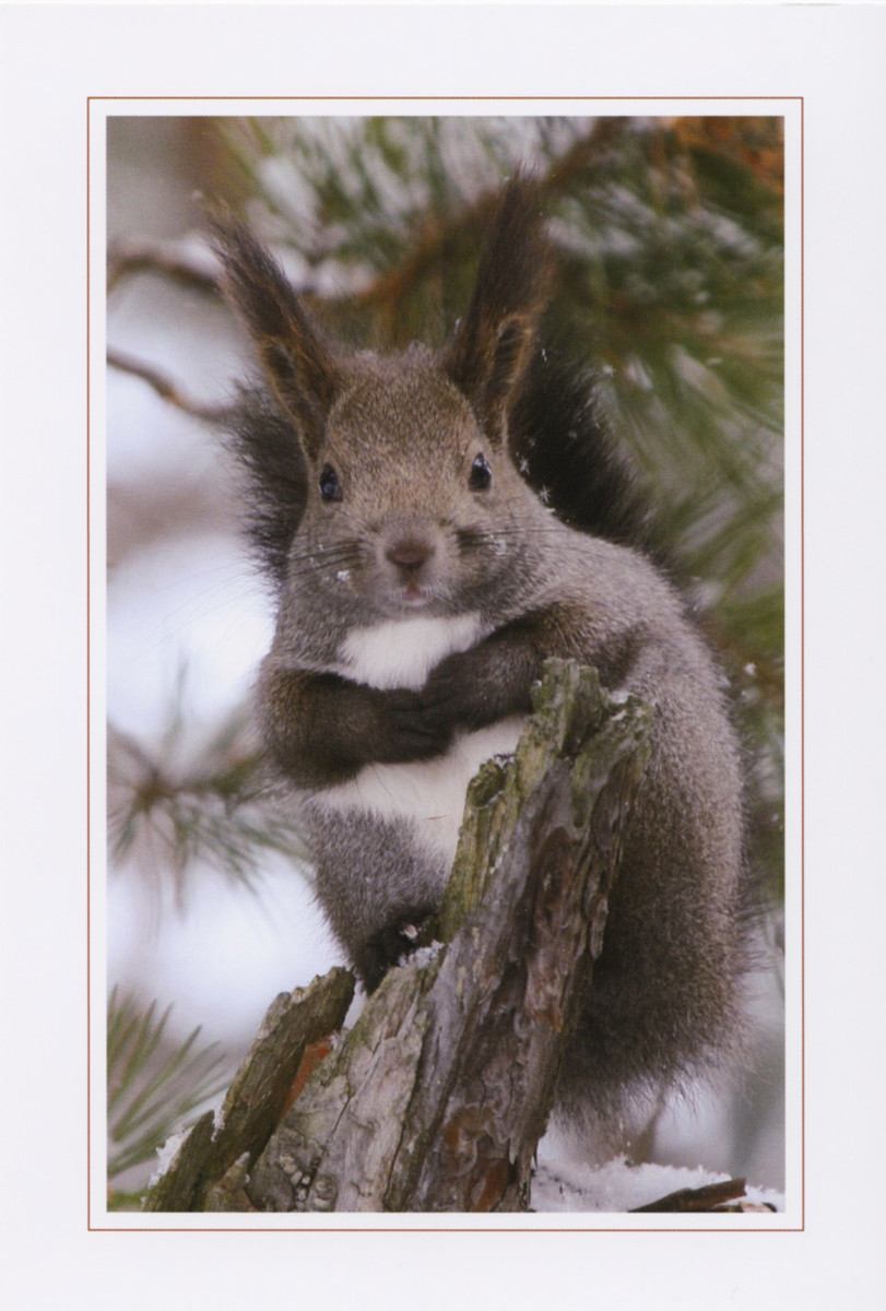 f:id:photo0321:20190628185447j:plain f:id:photo0321:20190628185447j:plain