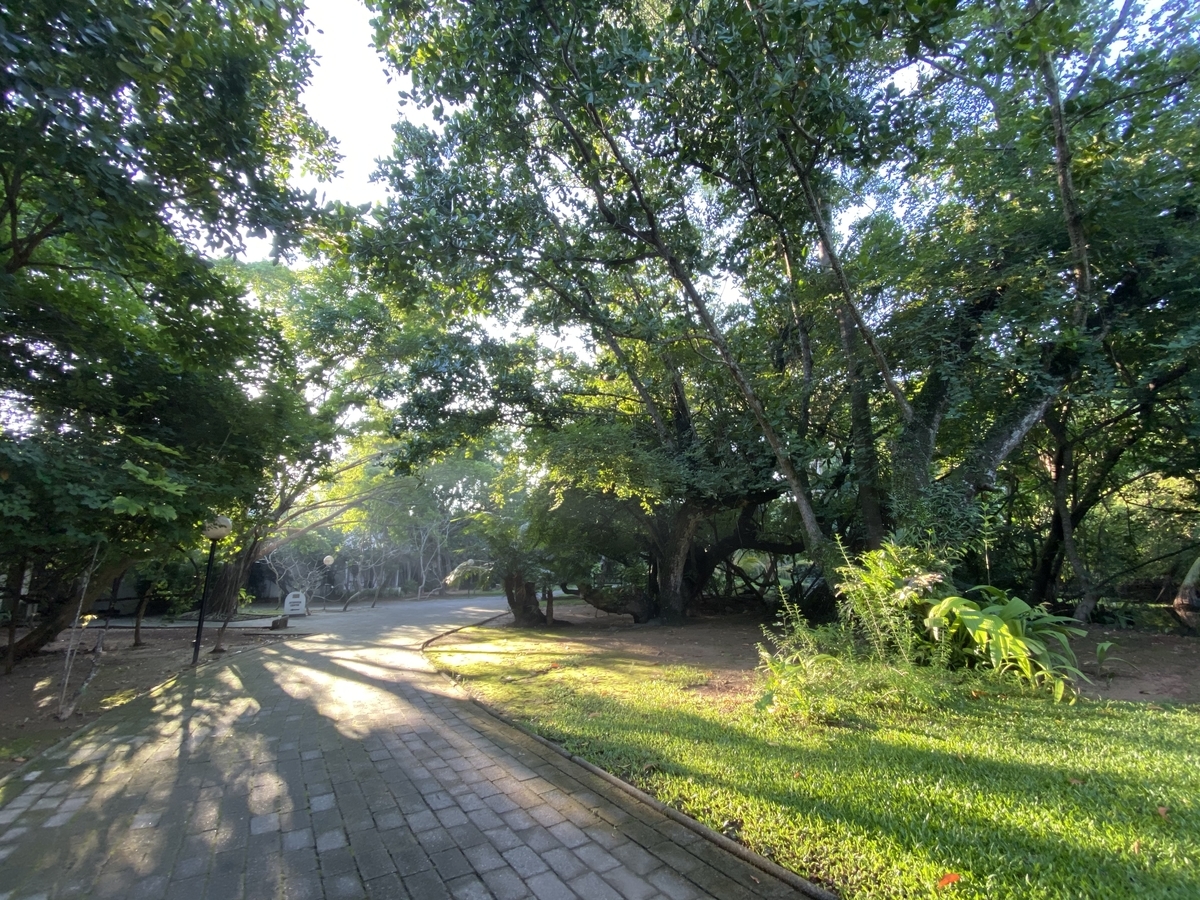 f:id:photo0827:20191023000053j:plain f:id:photo0827:20191023000053j:plain