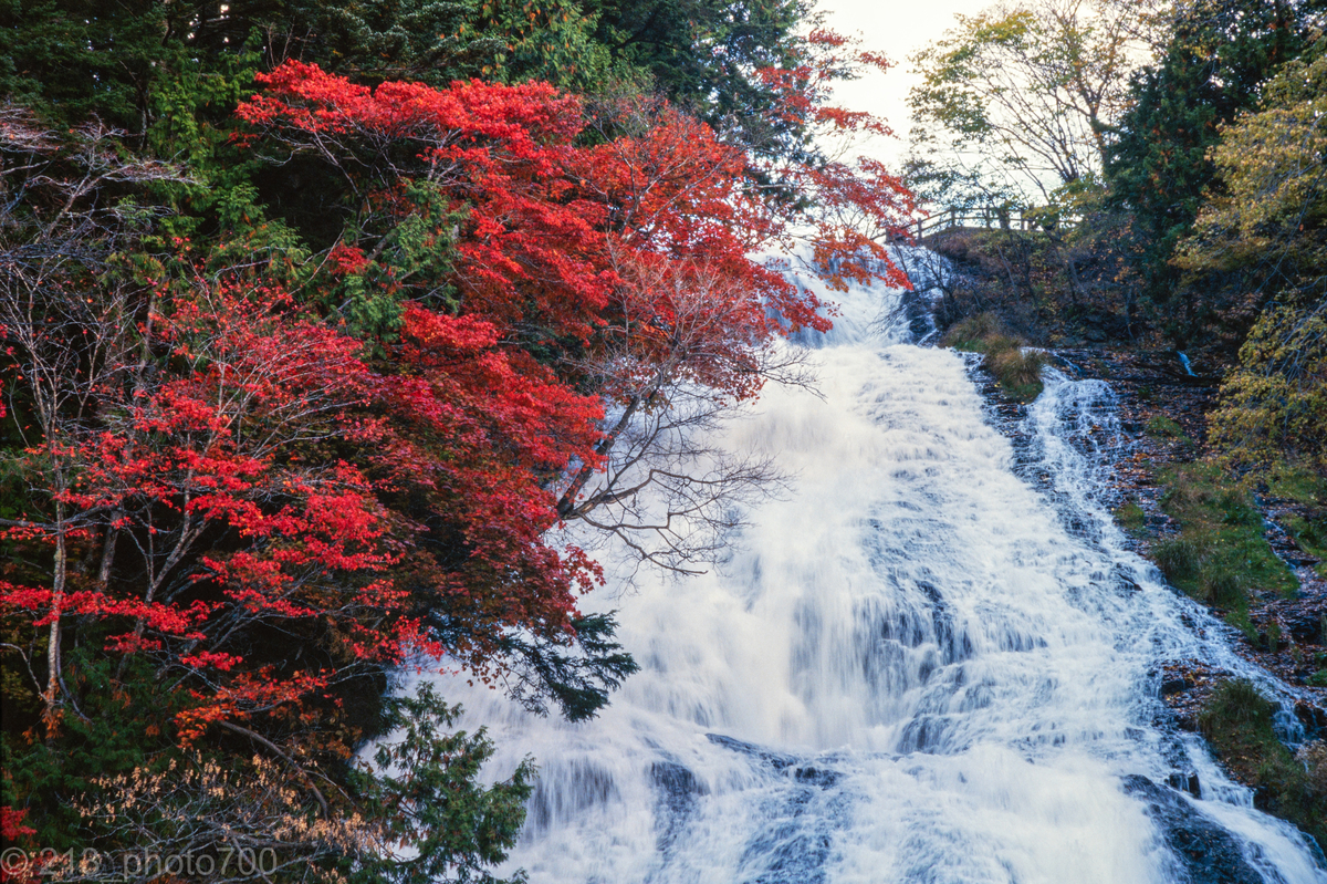 f:id:photo213:20201210040735j:plain