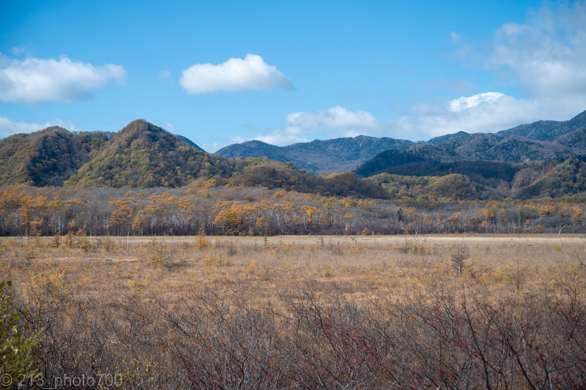 f:id:photo213:20201210044802j:plain
