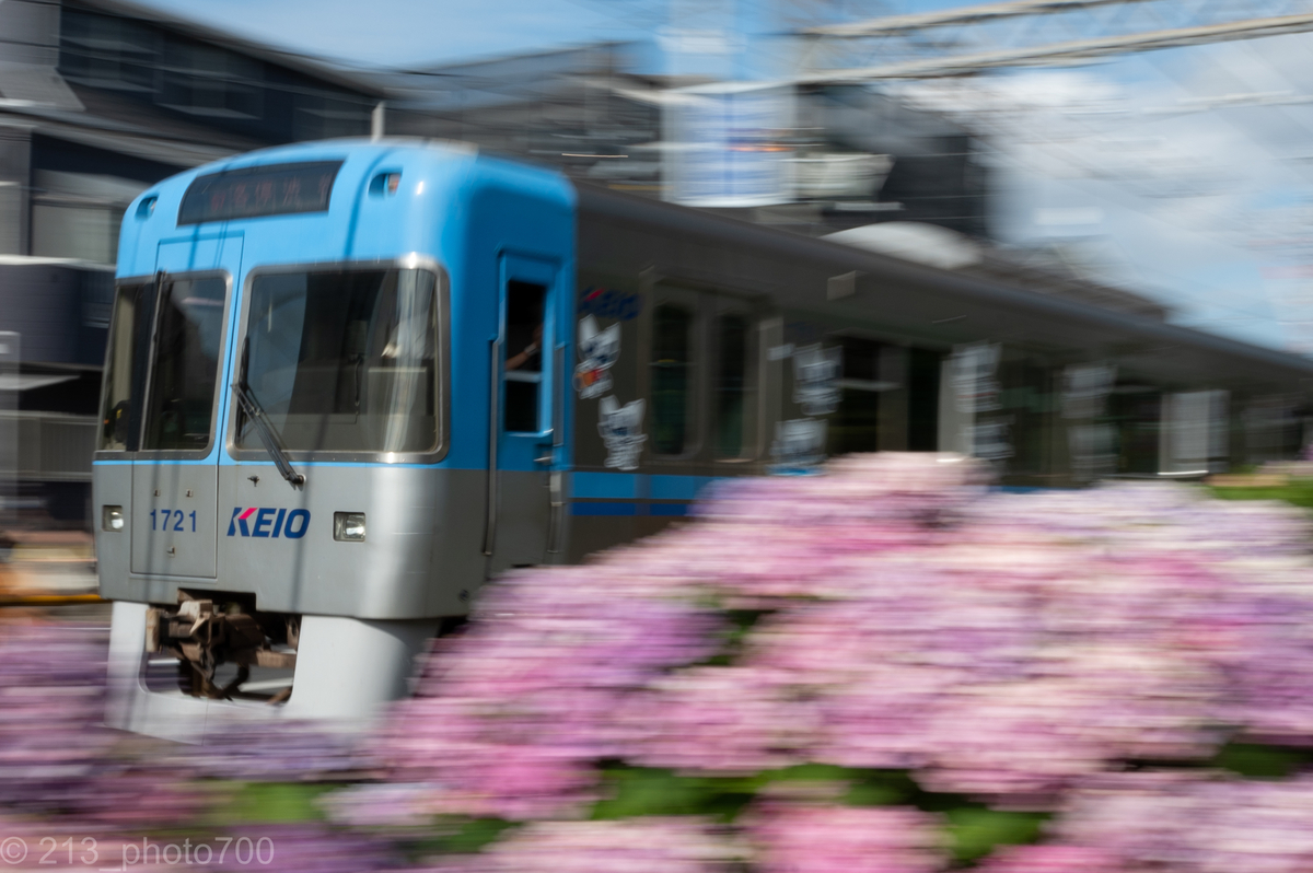 f:id:photo213:20210620155057j:plain