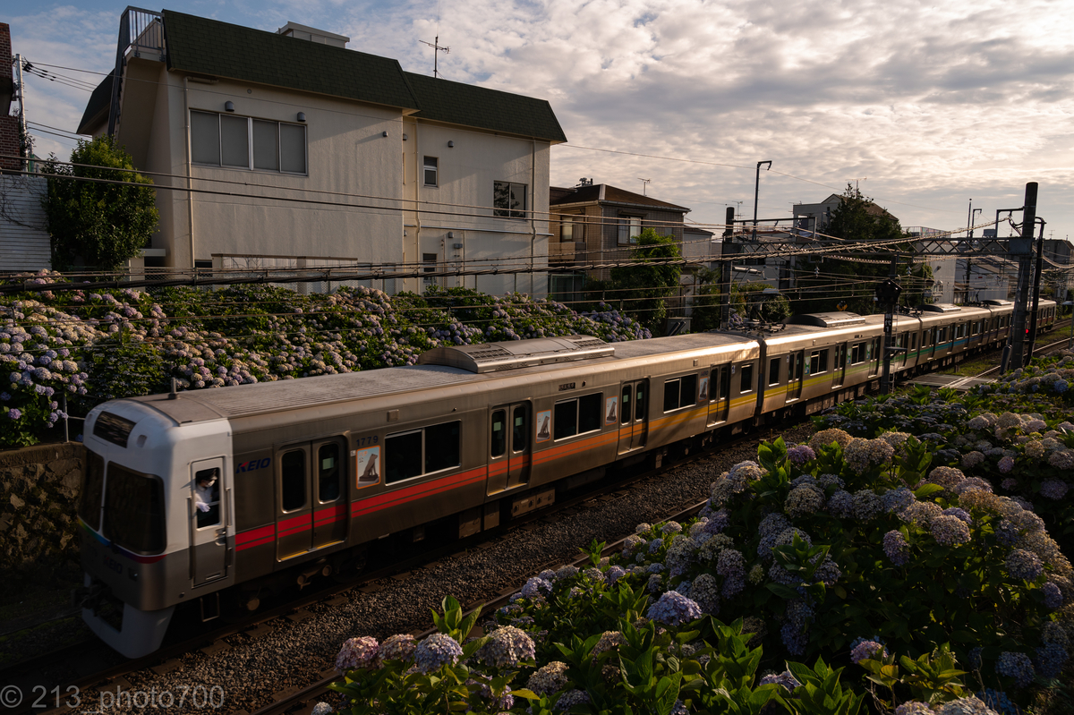 f:id:photo213:20210620160332j:plain