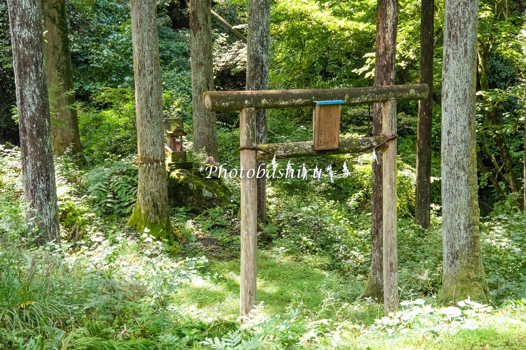 f:id:photobashiru:20180928030833j:plain