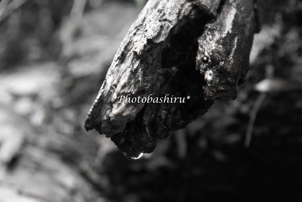 f:id:photobashiru:20180928034459j:plain