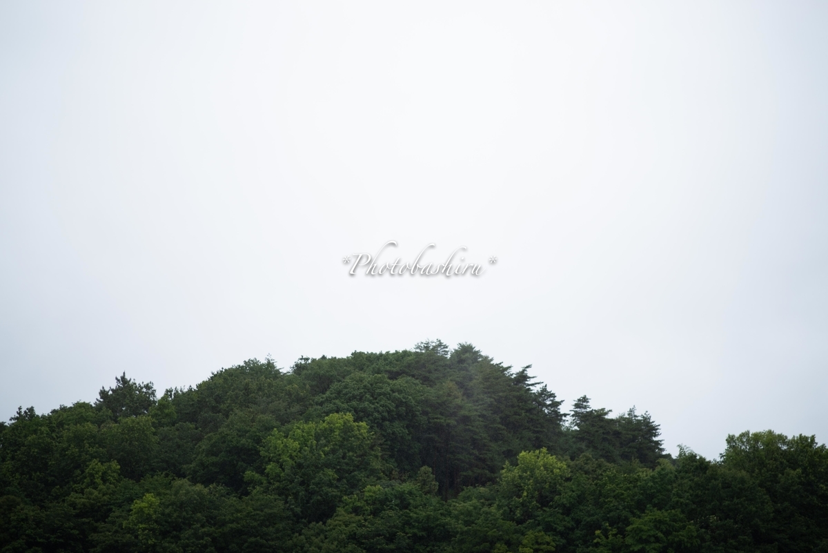 f:id:photobashiru:20190616190252j:plain