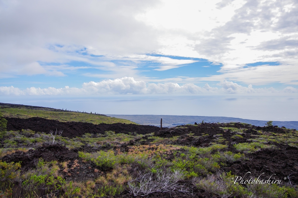 f:id:photobashiru:20191231062932j:plain