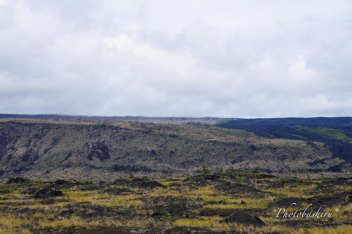 f:id:photobashiru:20191231064010j:plain
