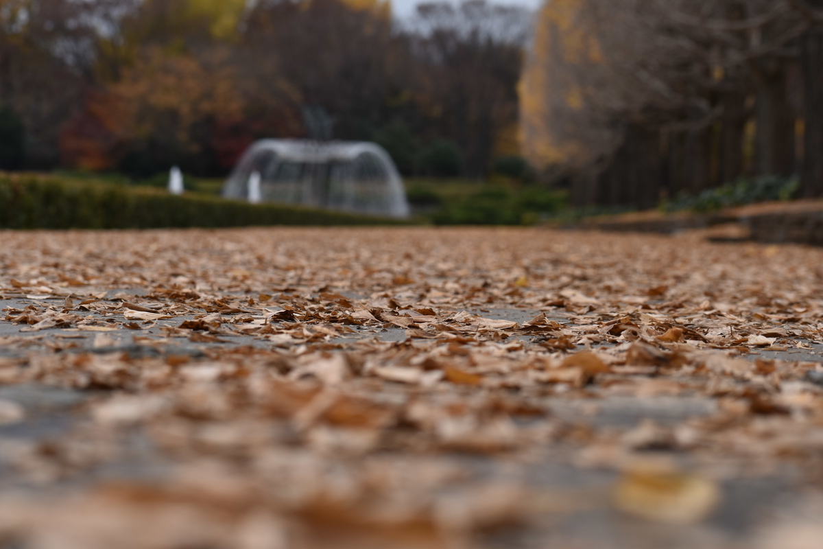 f:id:photobiginner:20200122025658j:plain f:id:photobiginner:20200122025658j:plain