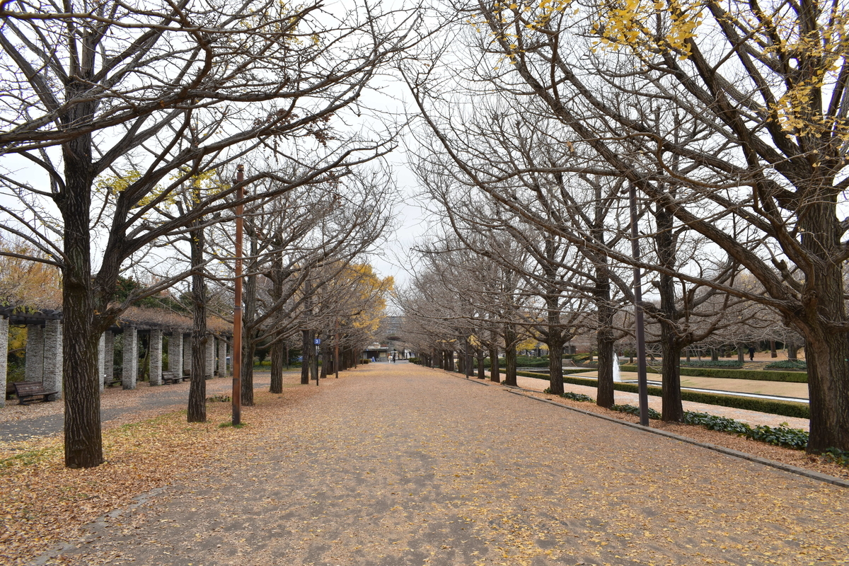 f:id:photobiginner:20200122025703j:plain f:id:photobiginner:20200122025703j:plain