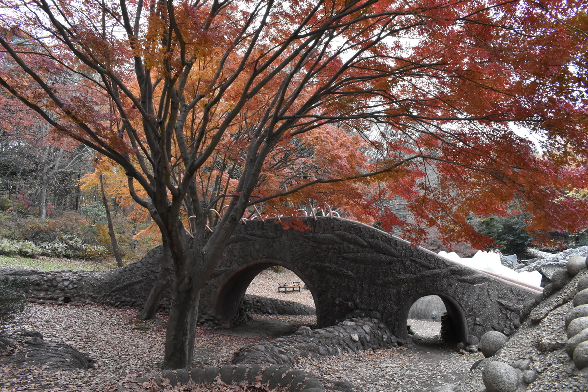 f:id:photobiginner:20200122025851j:plain f:id:photobiginner:20200122025851j:plain