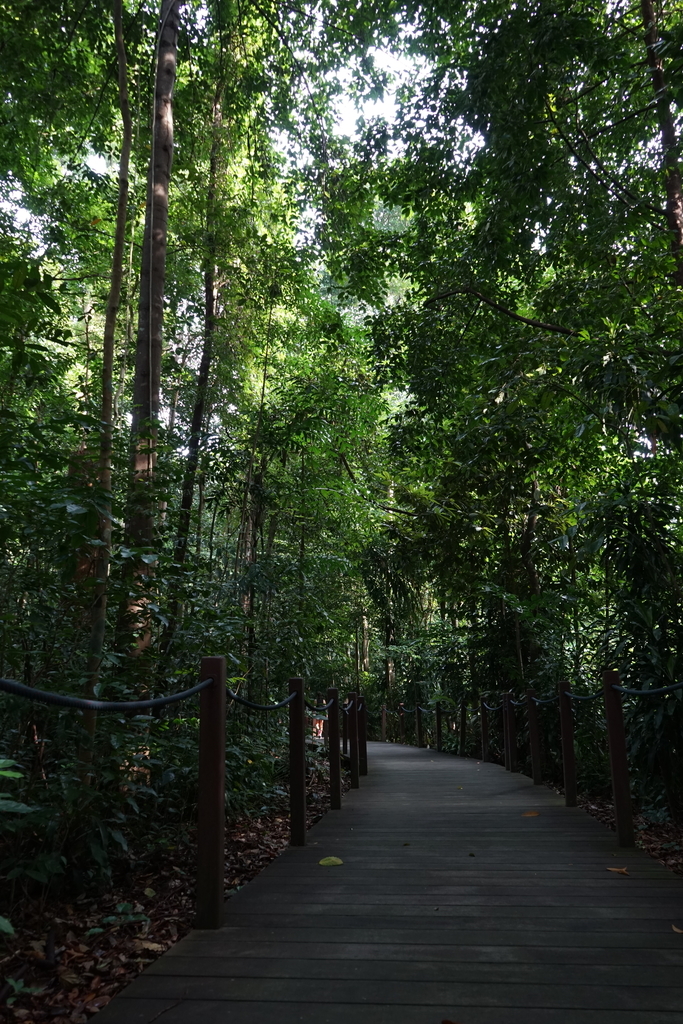 f:id:photoculty:20190104194133j:plain