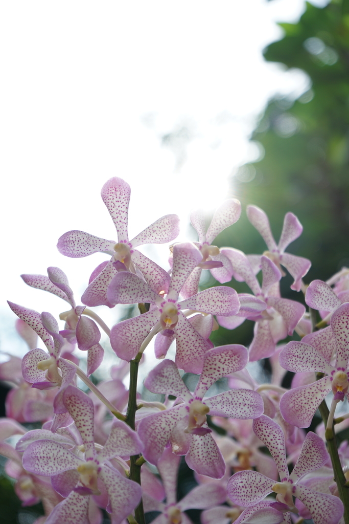 f:id:photoculty:20190104194427j:plain