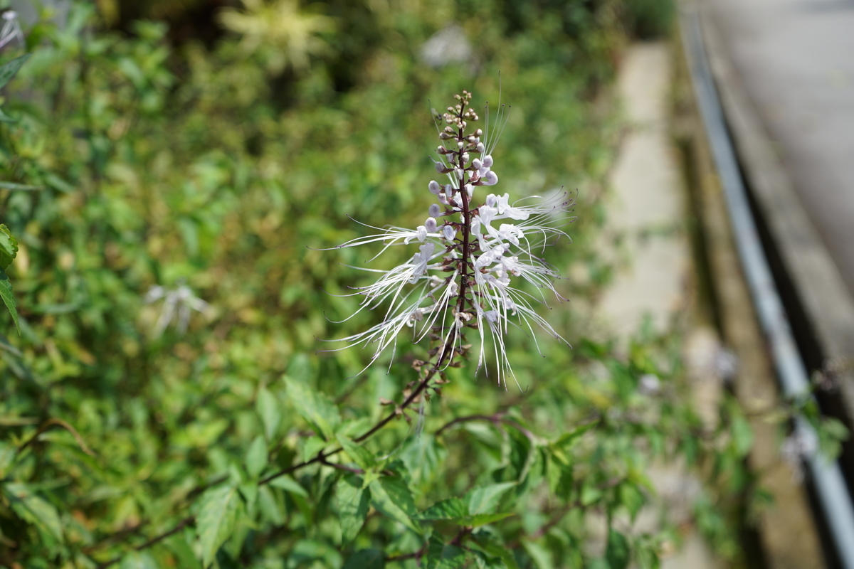 f:id:photoculty:20191004091431j:plain