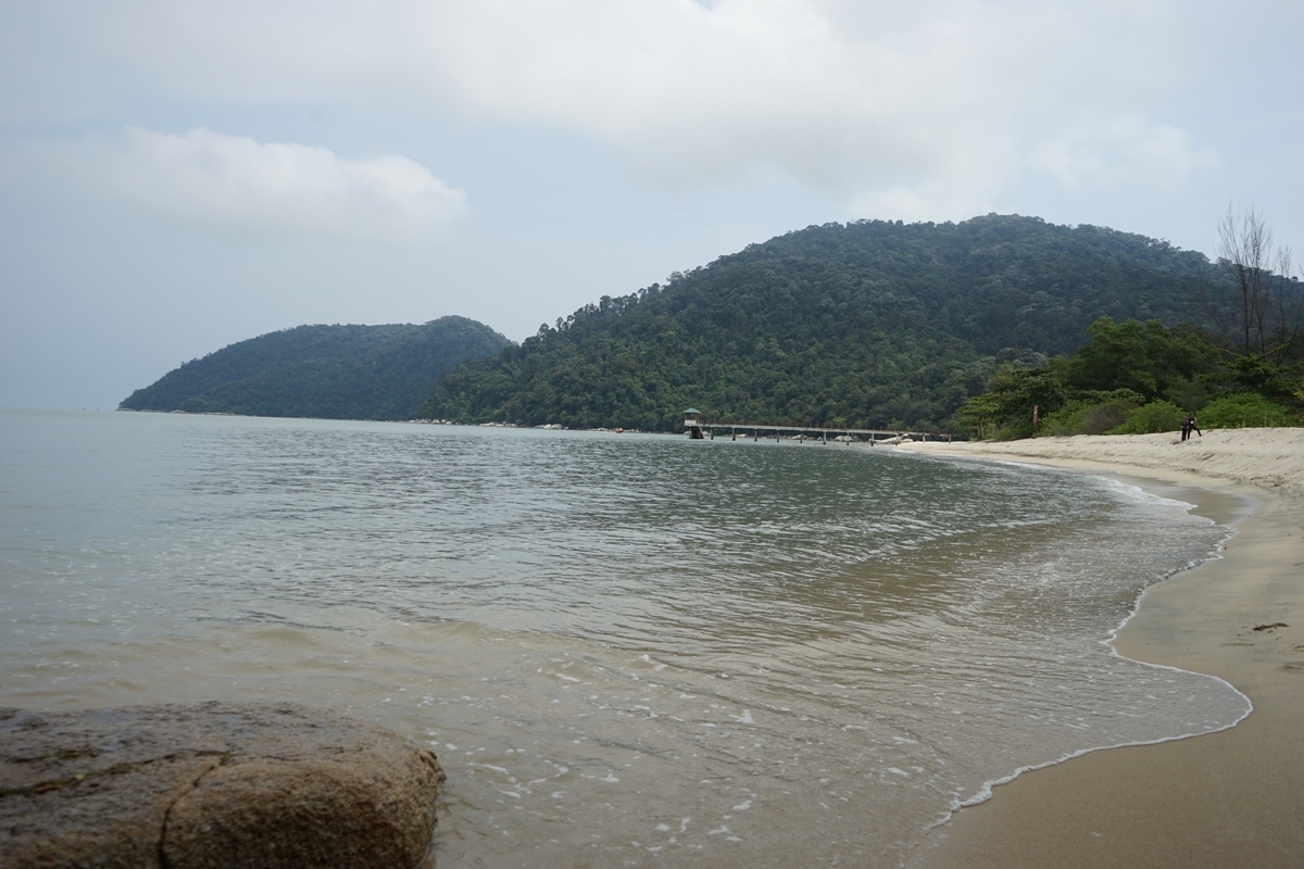 f:id:photoculty:20191013095602j:plain
