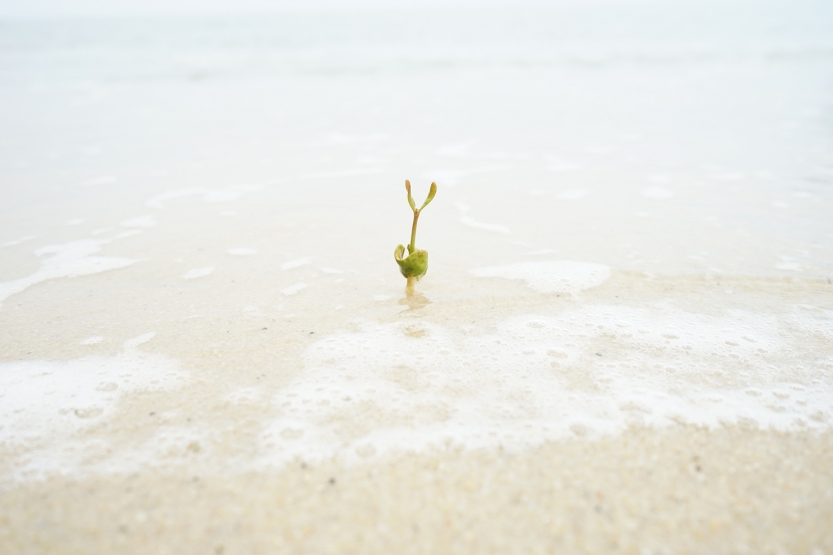 f:id:photoculty:20191013095615j:plain