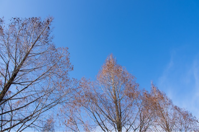 f:id:photographerti:20150315175009j:plain f:id:photographerti:20150315175009j:plain