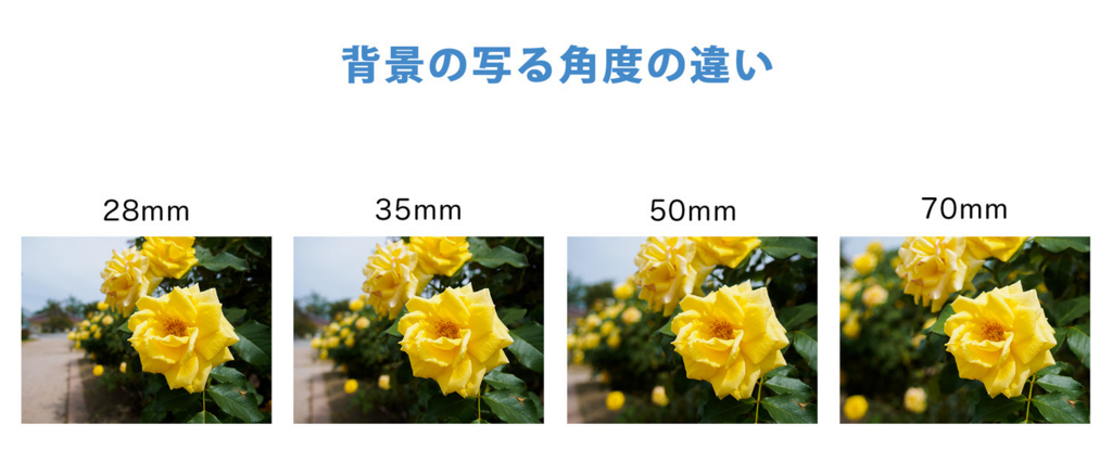 f:id:photographerti:20160106114728j:plain f:id:photographerti:20160106114728j:plain