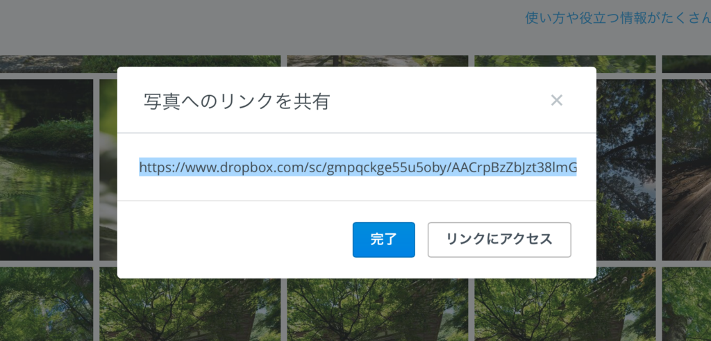 f:id:photographerti:20160523121406p:plain f:id:photographerti:20160523121406p:plain