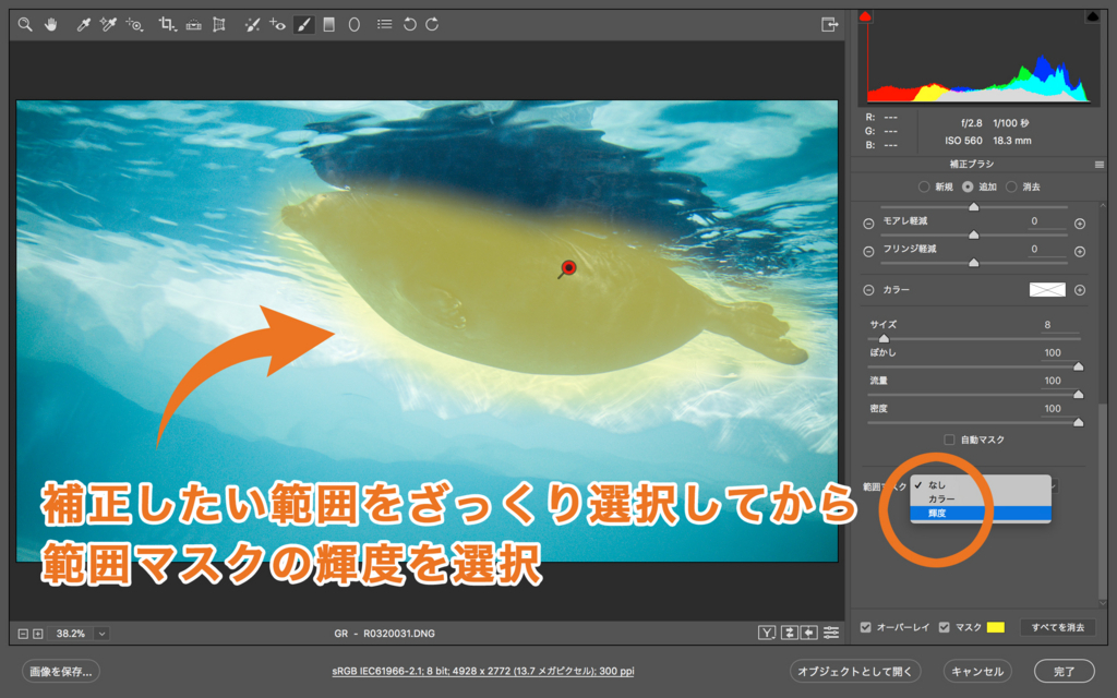 f:id:photographerti:20180117093509j:plain f:id:photographerti:20180117093509j:plain