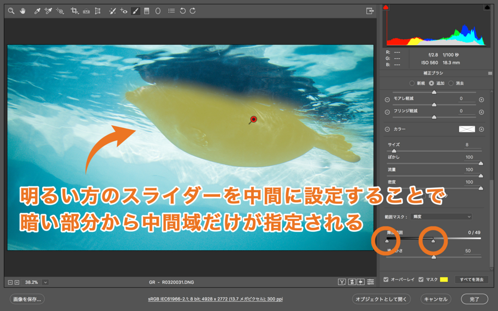 f:id:photographerti:20180118093939j:plain f:id:photographerti:20180118093939j:plain