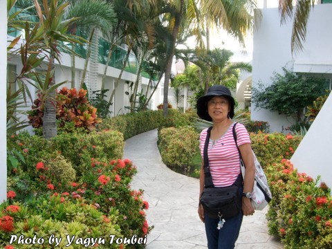 f:id:photolifenet:20170119232334j:plain