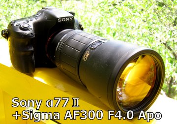 f:id:photolifenet:20170515213405j:plain f:id:photolifenet:20170515213405j:plain