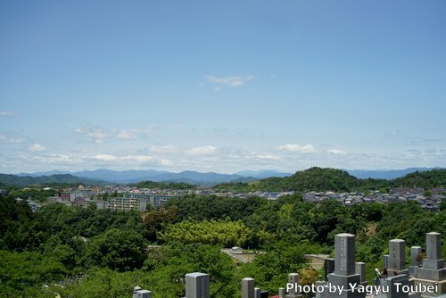 f:id:photolifenet:20170607203626j:plain