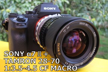 LEICA R4 一眼レフカメラ、タムロン28-70mmf3.5-4.5 オールドレンズの旅 TAMRON 28-70mm F/3.5-4.5 CF MACRO - 写真