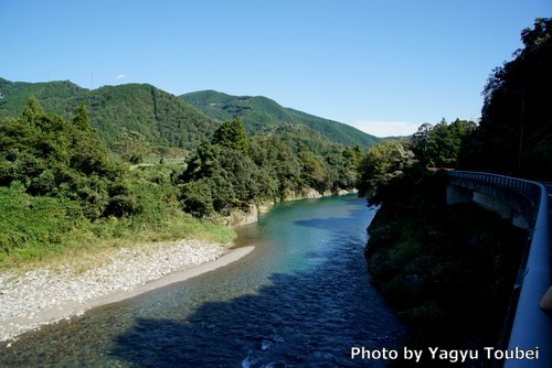 背景は土手の彼岸花 - 写真紹介 on Line