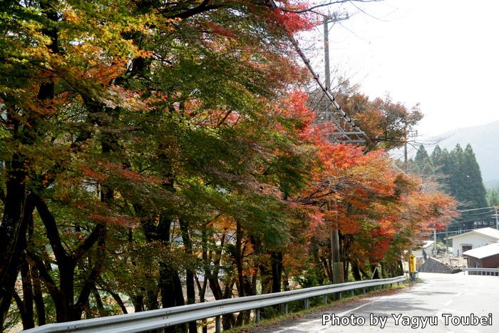 f:id:photolifenet:20171113205705j:plain f:id:photolifenet:20171113205705j:plain