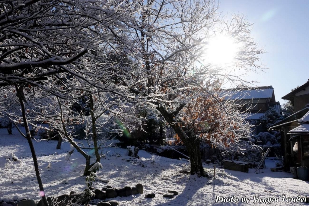 f:id:photolifenet:20180116203203j:plain f:id:photolifenet:20180116203203j:plain
