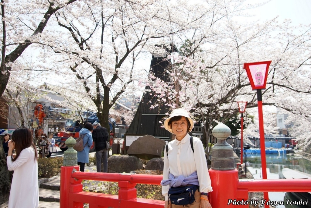 日本 背景は大垣市の水門川 写真生活 On Line 日本 背景は大垣市の水門川 写真生活 On Line