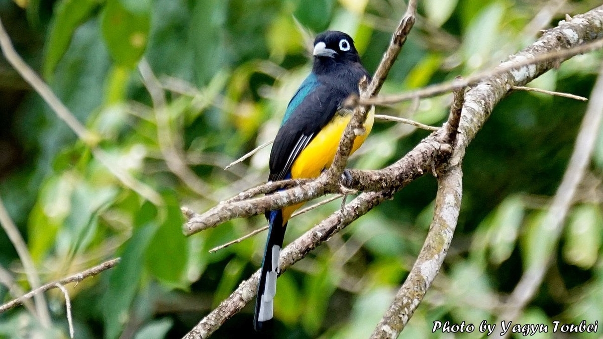f:id:photolifenet:20191002215308j:plain f:id:photolifenet:20191002215308j:plain