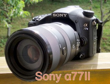 f:id:photolifenet:20220121230233p:plain
