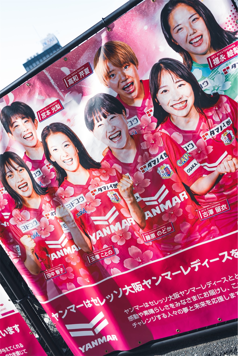 セレッソ大阪30周年記念ボブルヘッド セレッソ大阪 30周年記念