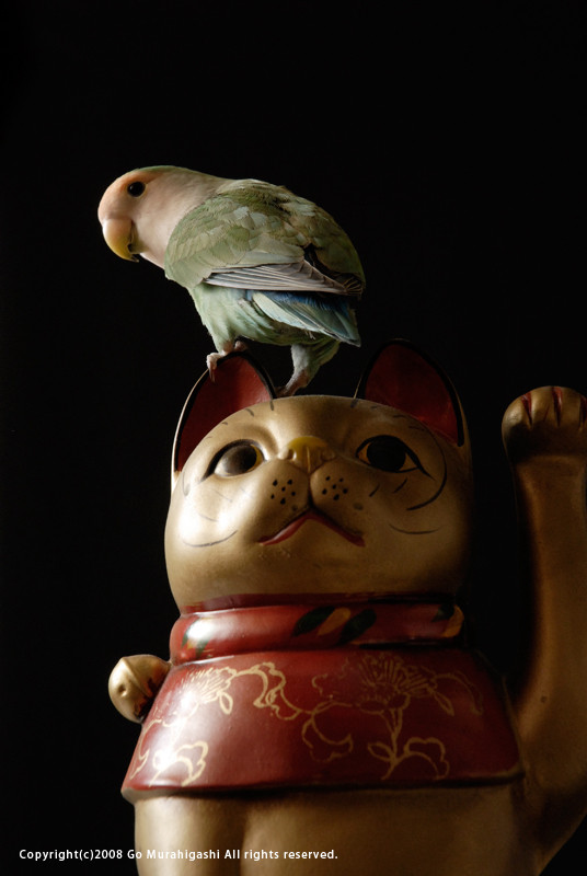 f:id:photosgo:20081013120130j:image:h400:left