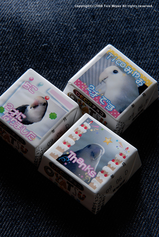 f:id:photosgo:20081031163617j:image:h400