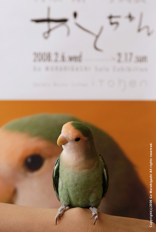 f:id:photosgo:20081205232659j:image:h400:left