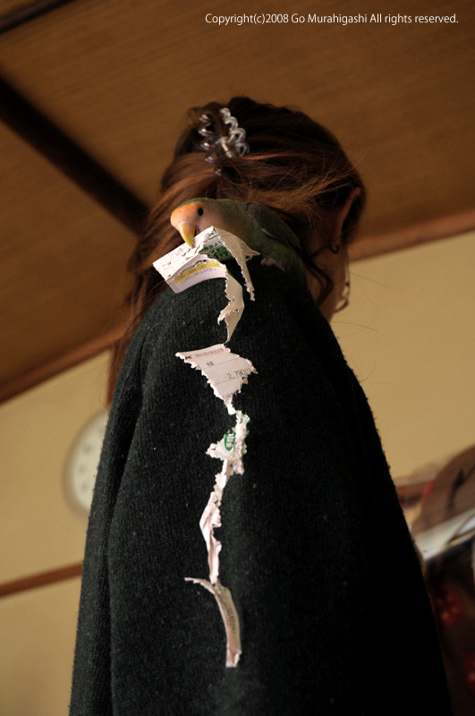 f:id:photosgo:20081230004643j:image:h400:right