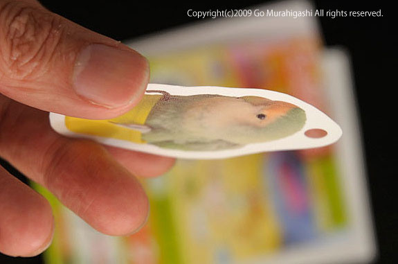 f:id:photosgo:20090407192448j:image:w400