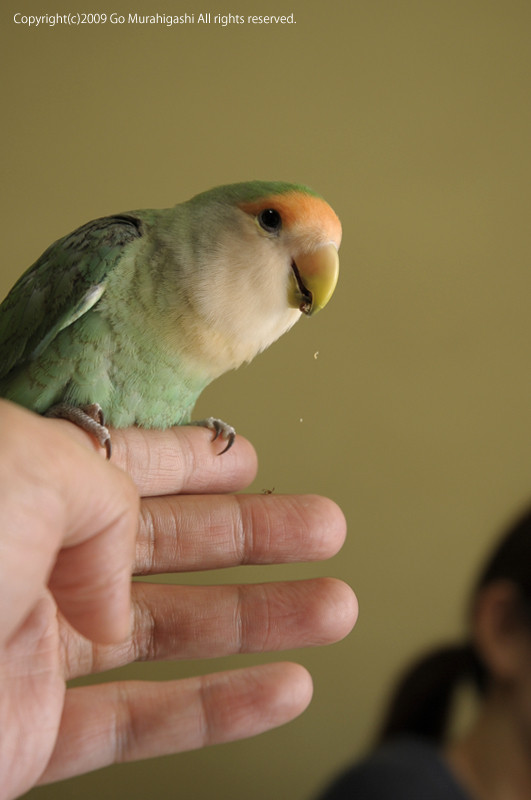 f:id:photosgo:20090507003805j:image:h400:left