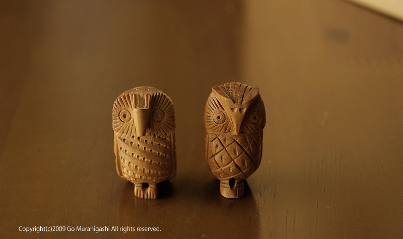 f:id:photosgo:20090511224231j:image:w400