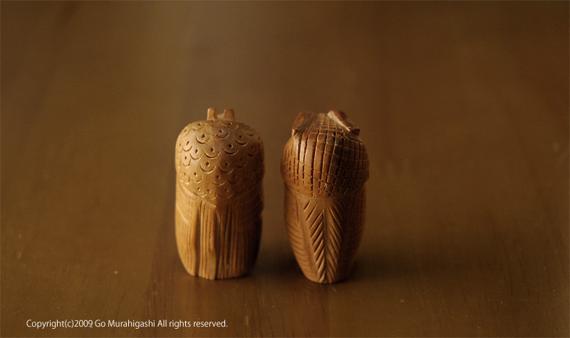 f:id:photosgo:20090511224233j:image:w400