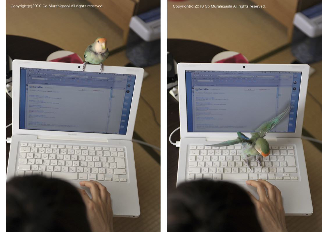 f:id:photosgo:20100613142203j:image:w450
