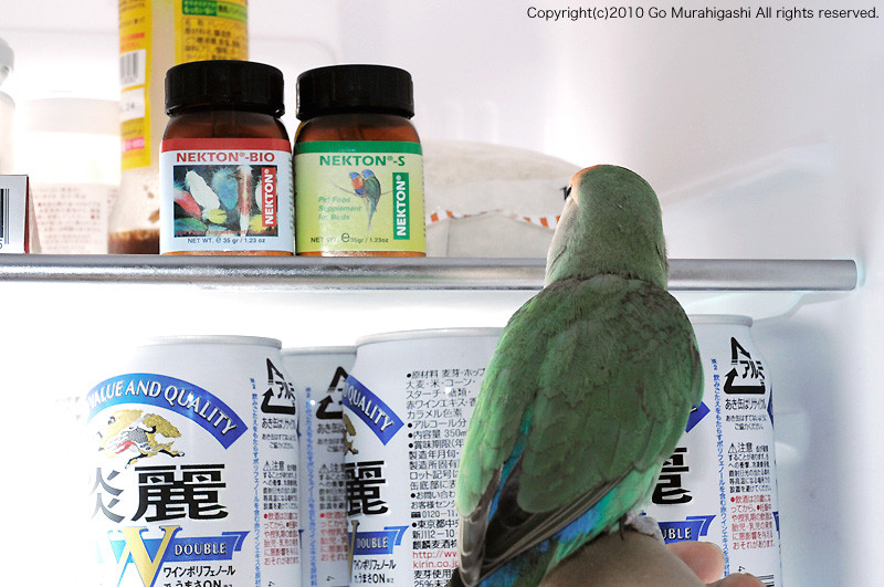 f:id:photosgo:20100706142124j:image:W450