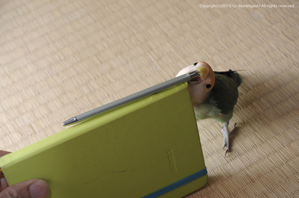 f:id:photosgo:20100721155617j:image:W450