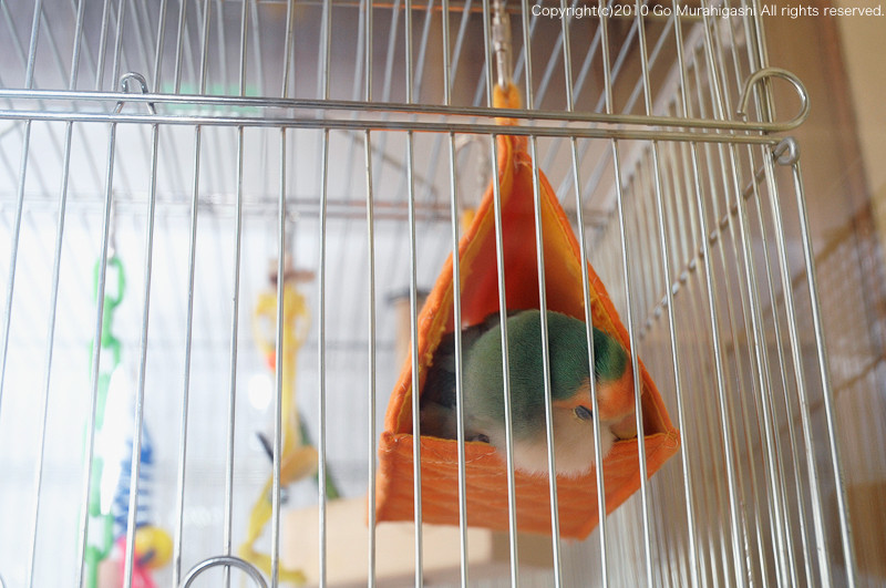 f:id:photosgo:20100928133740j:image:w450