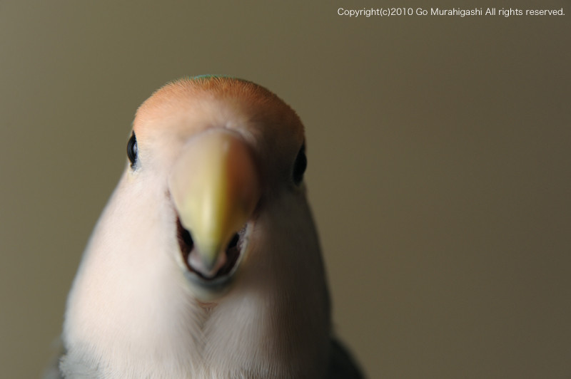f:id:photosgo:20100930125342j:image:w450