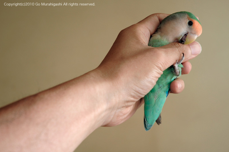 f:id:photosgo:20101015135656j:image:W450 f:id:photosgo:20101015135656j:image:W450