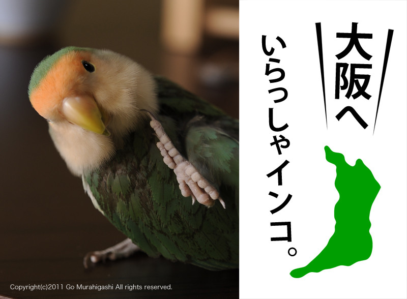 f:id:photosgo:20110318171402j:image:W450 f:id:photosgo:20110318171402j:image:W450